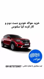 کیا سلتوس